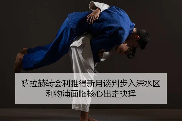 sa-la-he-zhuan-hui-li-ya-de-xin-yue-tan-pan-bu-ru-shen-shui-qu-li-wu-pu-mian-lin-he-xin-chu-zou-jue-ze-2-556.jpg